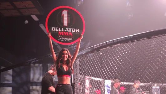 Bellator 233