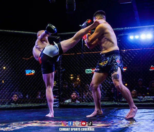 DFA 3