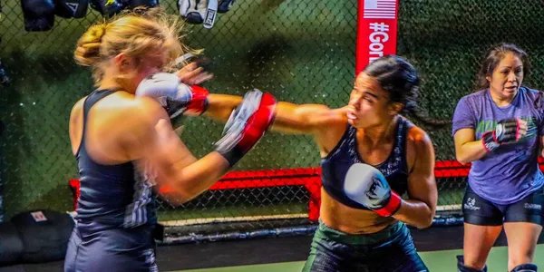 W4R Gym Sparring